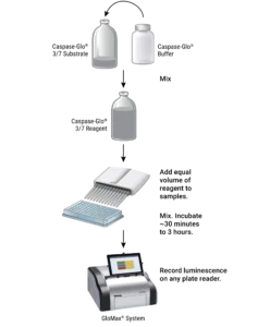 کیت Caspase-Glo® 3/7 Assay System 