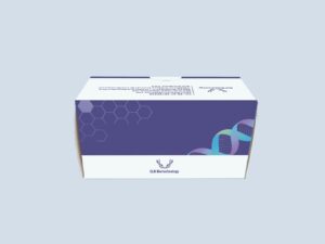 قیمت کیت سنتز cdna خرید از بایوتکنولب