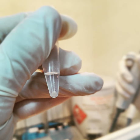کیت استخراج رسوبی DNA از خون و بافت | راهنما استفاده